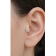 Tragus Bölgesi İçin Kelebek Motif Çelik Halka Küpe (adet)-ROSE
