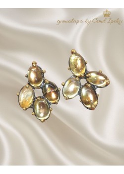 Golden Shine Sitrin Taşlı Gümüş Küpe Çifti