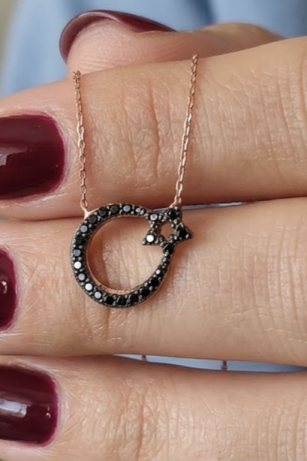 Onix Taşlı Ay Yıldız Motif Gümüş Mini Kolye